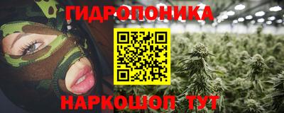 гашик Свободный