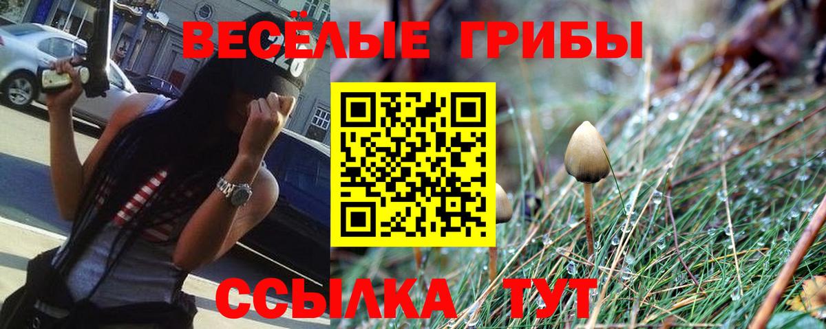 Галлюциногенные грибы ЛСД  наркошоп  Родники  Галлюциногенные грибы мицелий  Вход с VPN 